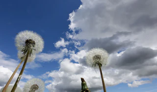 Am Dienstag erwartet Bayern vielerorts ein Sonne-Wolken-Mix. (Symbolbild) — © Thomas Warnack/dpa