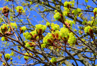 Der DWD erwartet viel Sonnenschein am Wochenende für Bayern. (Symbolbild) — © Patrick Pleul/dpa