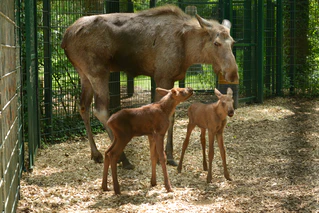 Tierpark Hellabrunn — © ©&nbsp;Bild: Tierpark Hellabrunn