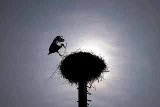 Zu Beginn der Pfingstferien sollen die Temperaturen deutlich steigen. (Archivbild) — © Pia Bayer/dpa