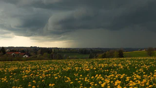 Bereits heute ziehen die ersten Regenwolken im Freistaat auf. Ab Dienstag wird es dann vielerorts nass. (Symbolbild) — © Alexander Wolf/onw-images/dpa