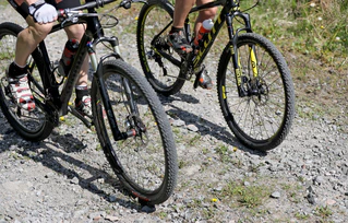 Beim Mountainbiken hat sich ein 43-Jähriger schwer verletzt. (Symbolbild) — © Jan Woitas/dpa