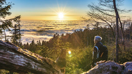 Bayerischer Wald — © ©&nbsp;Bild: woidlife-photography.de