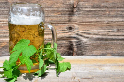 Tag des deutschen Bieres, Bier, Tag des Bieres — © Bierglas Hopfen