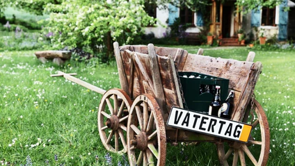 Vatertag, Bollerwagen, Männer, Vater — © Bild: Ingo Bartussek