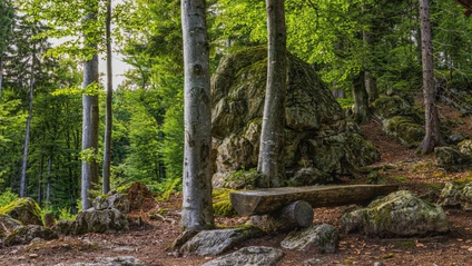 Bayerische Wald — © FelixMittermeier / Pixabay.com