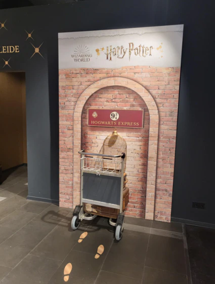 Harry Potter