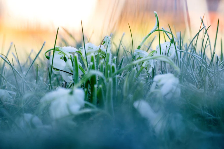Der Oktober in Bayern: Ein ungewöhnlich warmer Herbstmonat mit starken Wetterkontrasten – von Föhnwinden und sommerlichen Temperaturen bis zu kühlen Frostnächten. (Symbolbild) — © Pia Bayer/dpa