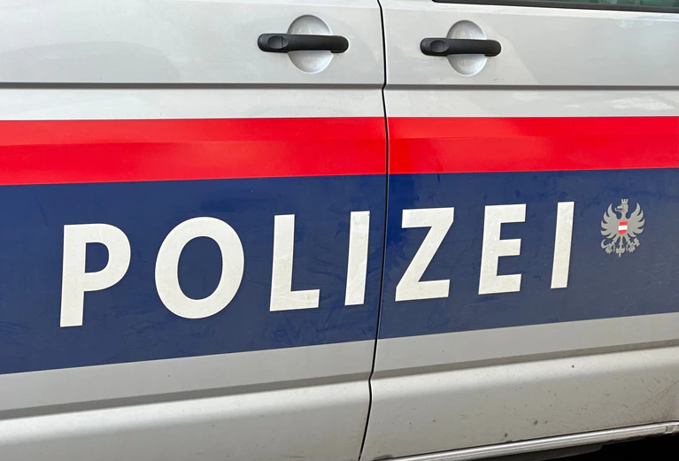 Die Schweizer Polizei hat zehn Anhänger der Bande «Black Axe» festgenommen (Symbolbild) — © Matthias Röder/dpa
