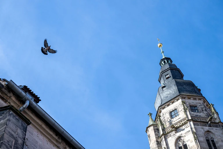 Bayern ohne Kirchtürme? Nicht vorstellbar. (Symbolbild) — © Pia Bayer/dpa