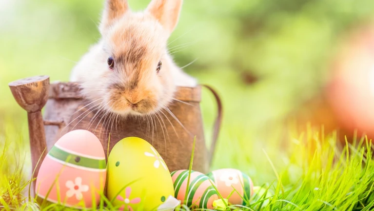  — © Bild: Adobe Stock / drubig-photo