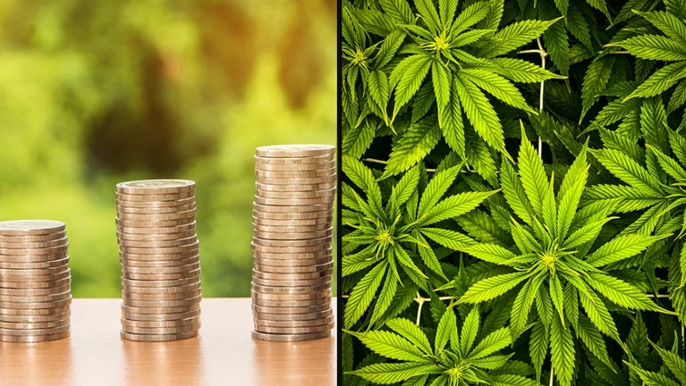Geld Cannabis — © Bild: Paul Einerhand/Unsplash und Nattanan Kanchanaprat/Pixabay.com