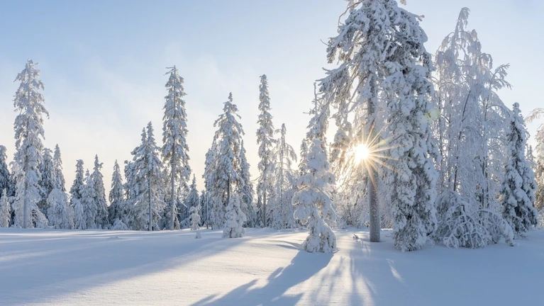 Winter Schnee — © Sanna auf Pixabay
