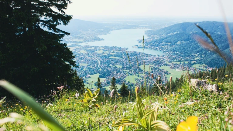 Beitragsbild: Vatertag 2024: Zehn Ideen für Ausflüge in Bayern — © Bild: Unsplash