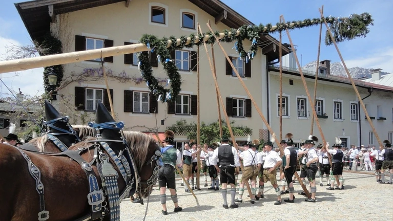 Maibaum — © Bild von Dieter Ludwig Scharnagl auf Pixabay