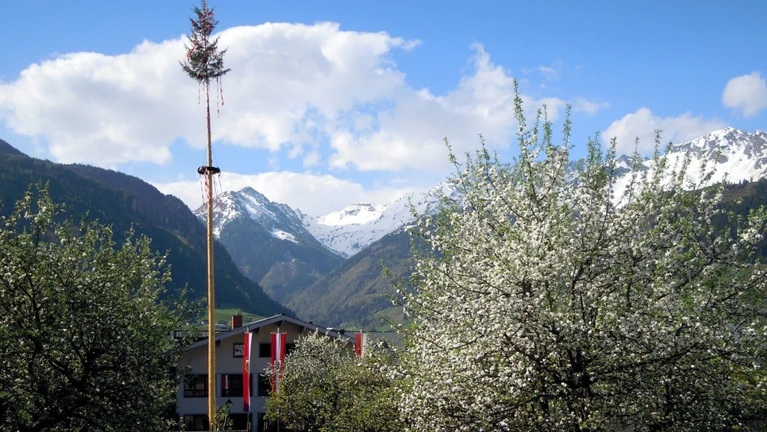 Maibaum — © Bild von Alois Grundner auf Pixabay