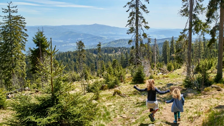 Familienurlaub Bayerische Wald — © © Bild: woidlife-photography.de