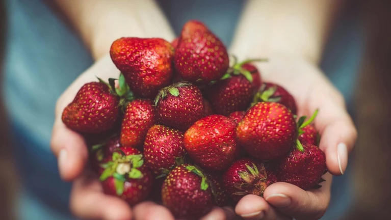 Erdbeeren — © Artur Rutkowski / Unsplash