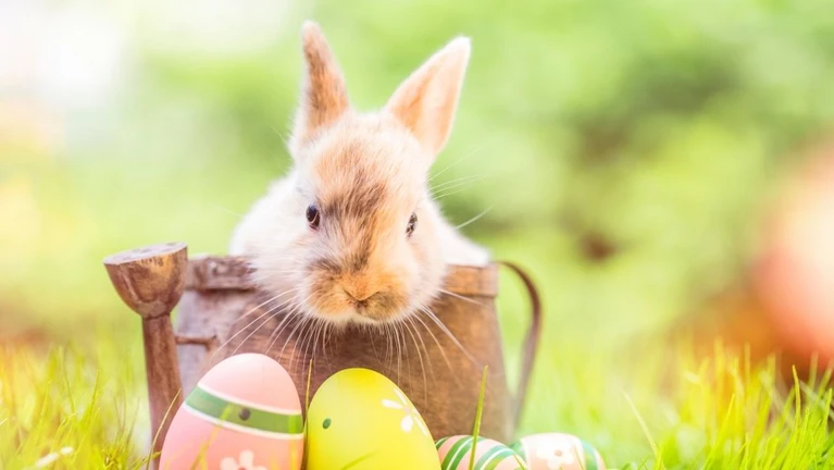  — © Bild: Adobe Stock