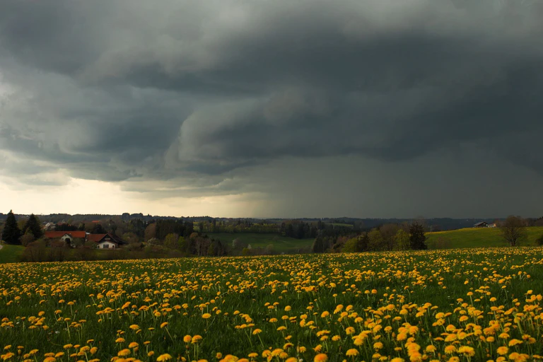 Aprilwetter in Bayern: Blühende Wiesen, Gewitter - aber auch nochmal Frost. — © Alexander Wolf/onw-images/dpa