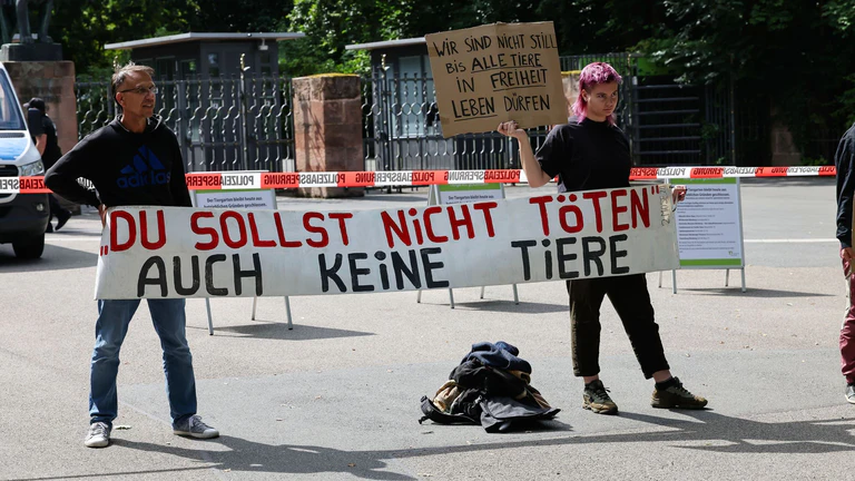 Aktivistinnen und Aktivisten protestierten wiederholt gegen die Tötung.  — © Daniel Löb/dpa