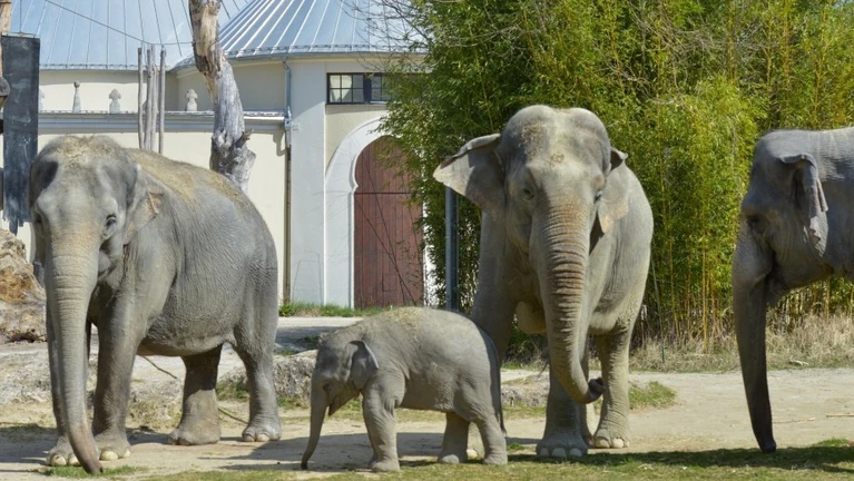  — © Bild: ©&nbsp;Tierpark Hellabrunn