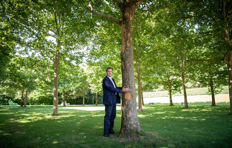 Dieses Foto verfolgt Markus Söder seit seiner Aufnahme 2020: Damals umarmte der bayerische Ministerpräsident einen Baum in München um zu zeigen, wie wichtig ihm der Klimaschutz ist. Nun hat Söders Kabinett die Klimaneutralität von 2040 auf 2045 verschoben. (Archivbild) — © Peter Kneffel/dpa