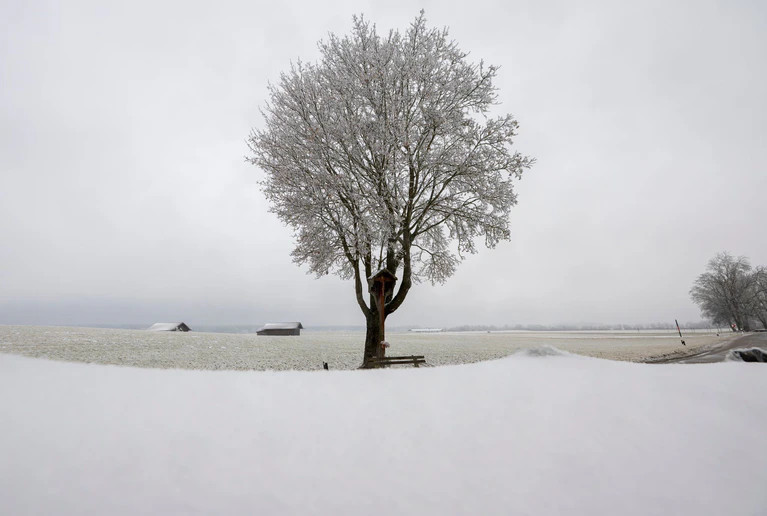 In Teilen Bayerns rieselte an Heiligabend Schnee herunter. — © Peter Kneffel/dpa