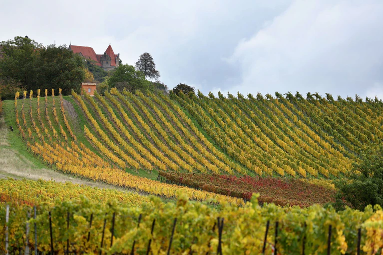 Die Weinberge rund um Würzburg gelten als eine der Attraktionen für Touristen in Franken (Archivbild).  — © Karl-Josef Hildenbrand/dpa