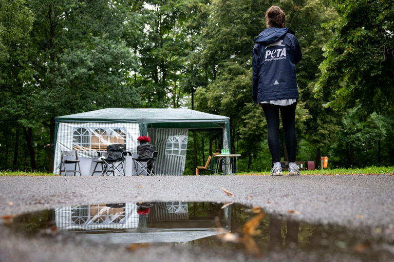 Mit einem Protestcamp und Demos vor dem Tiergarten wollen Aktivisten verhindern, dass weitere Affen getötet werden. — © Daniel Karmann/dpa