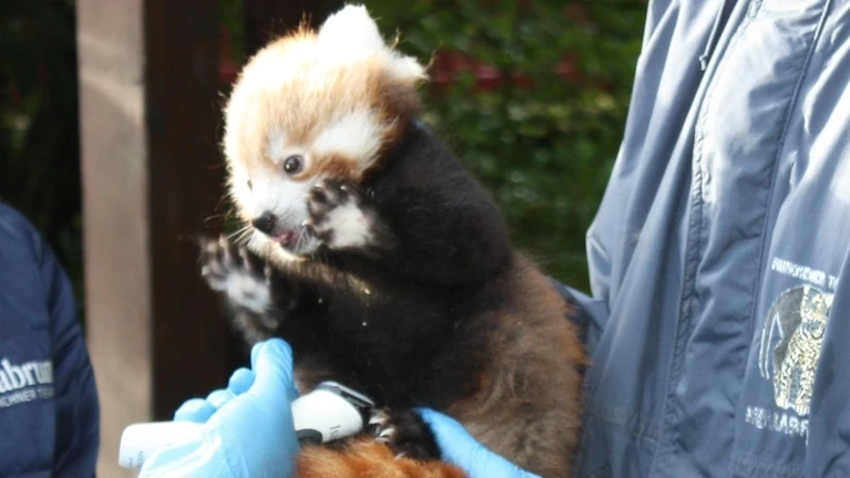  — © Bild: Tierpark Hellabrunn