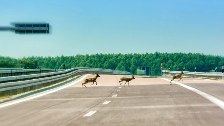  — © Bild: Ralf Geithe/ IStock