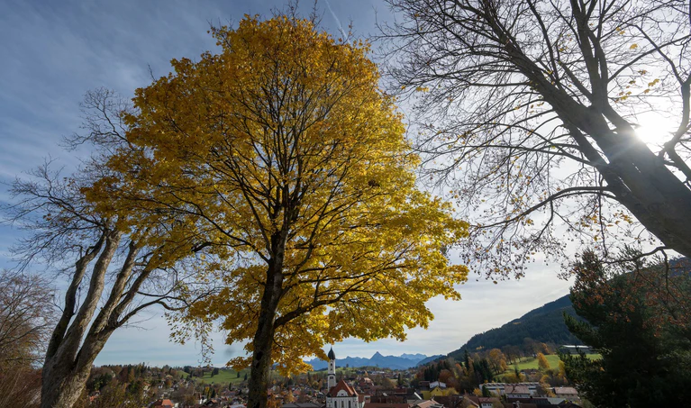 In Bayern bringt das Wetter ordentlich Nebel und ein wenig Sonne mit. (Symbolbild) — © Stefan Puchner/dpa