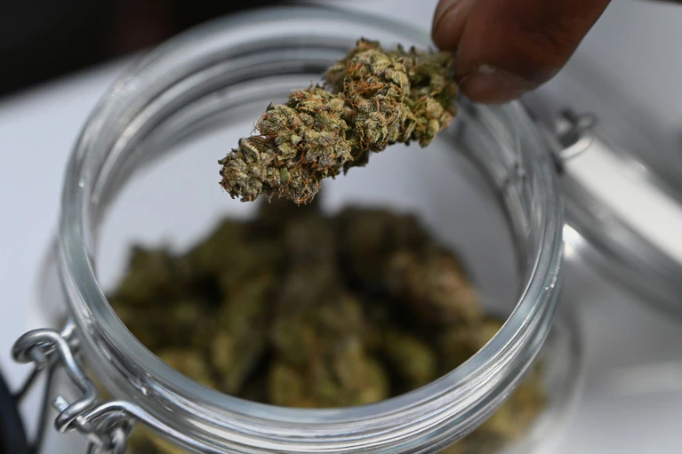 Mehr als sieben Kilo Marihuana stellte die Polizei bei dem Einsatz sicher. (Symbolbild) — © Michael Brandt/dpa