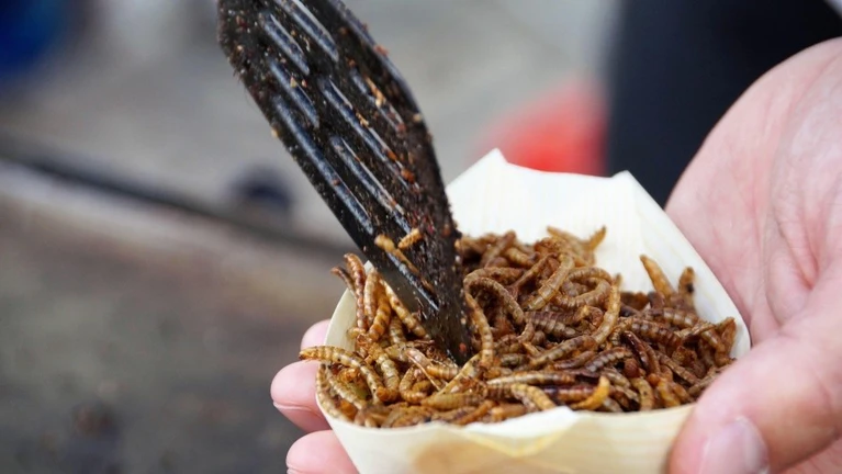  — © Bild: ivabalk / Pixabay