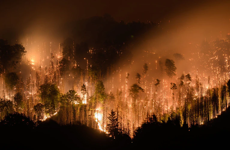 Der verheerende Waldbrand 2022 im sächsisch-tschechischen Grenzland stellte die Einsatzkräfte vor großen Herausforderungen. (Archivbild) — © Robert Michael/dpa