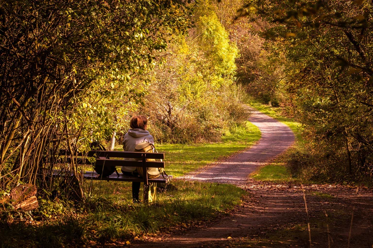 Natur, Wald, Bank, Spazieren — © Bild: Didgeman auf PixaBay