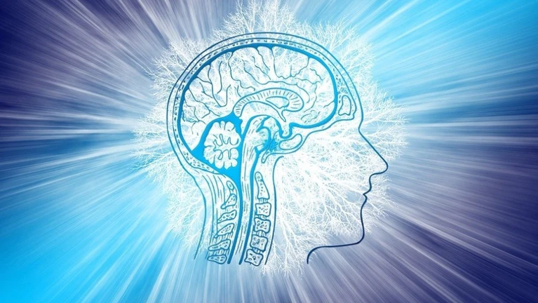  — © Bild: Gerd Altmann / Pixabay.com