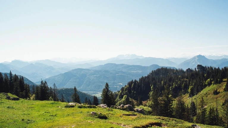  — © Bild: Markus Spiske / Unsplash.com