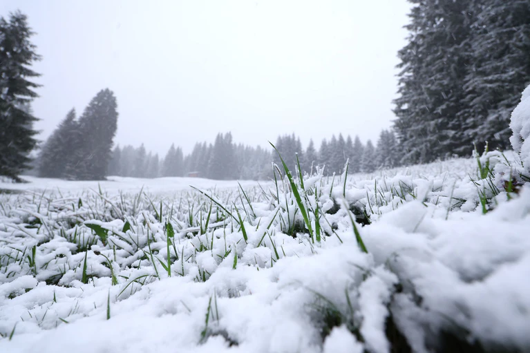 In höheren Lagen ist noch einmal Neuschnee gefallen. Und es bleibt weiter kühl. — © Karl-Josef Hildenbrand/dpa