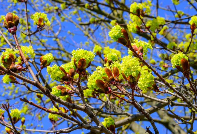 Der DWD erwartet viel Sonnenschein am Wochenende für Bayern. (Symbolbild) — © Patrick Pleul/dpa