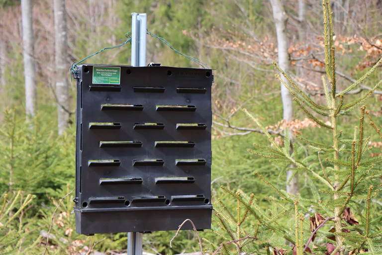 Mit Pheromon-Fallen werden Borkenkäfer angelockt. Sie folgen dem Duft und fallen in den Kasten. Wöchentlich werden die gesammelten Borkenkäfer gezählt. (Handout) — © Gregor Wolf/Nationalpark Bayerischer Wald/dpa