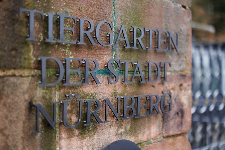 In Nürnberg sind rund 50 Vogelarten von strengen Schutzmaßnahmen betroffen. (Archivbild) — © Daniel Karmann/dpa