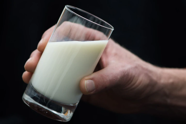 Gesundheitsgefährdende Stoffe sind in einer Milch entdeckt worden. (Symbolbild) — © Lukas Schulze/dpa