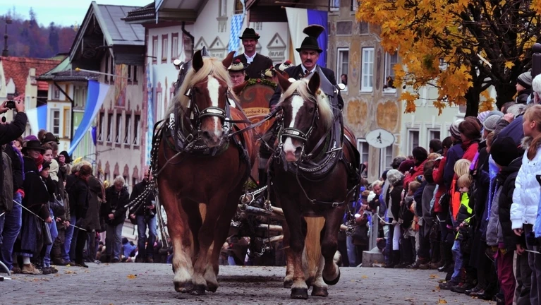 Leonhardifahrten Kutsche Pferd Fest Leonhardi