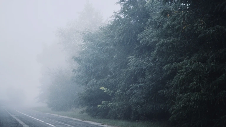 Nebel — © Bild: Pixabay