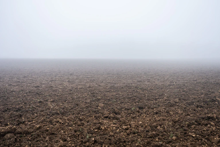 Der Sonntag in Bayern wird neblig. (Symbolbild) — © Silas Stein/dpa