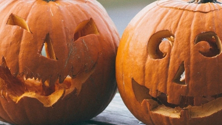 Kürbis Kürbisse schnitzen Kürbisschnitzen Oktober Halloween — © Bild: Unsplash/Bekir Dönmez