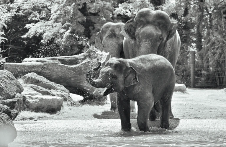  — © Bild: Tierpark Hellabrunn / Birgit Mohr