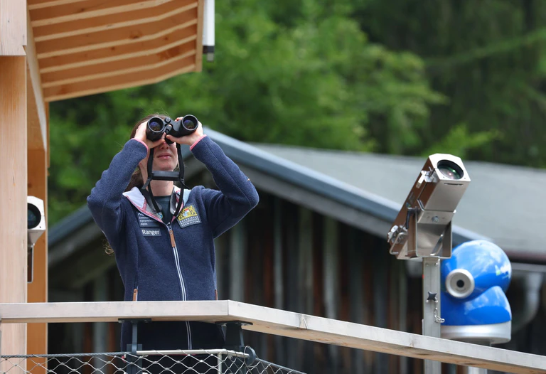 Rangerin Daniela Tritscher war bislang für das Naturschutzzentrum Alpinium in den Allgäuer Bergen unterwegs. Nun wird das Modellprojekt beendet. (Archivbild) — © Karl-Josef Hildenbrand/dpa